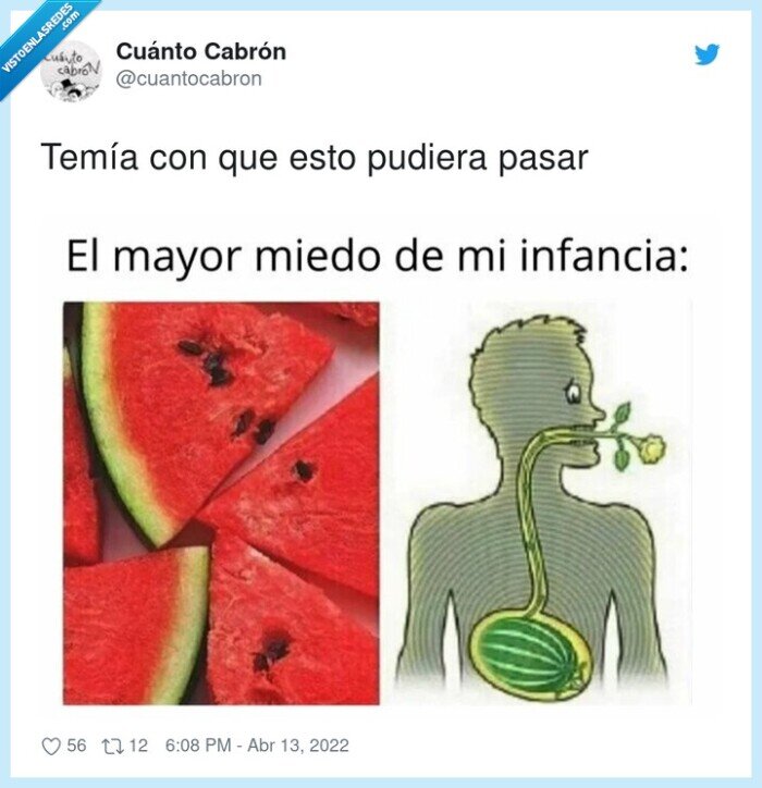 estómago,planta,pepitas,sandía,tragarse