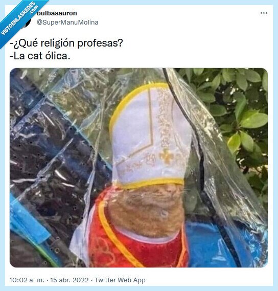 religi&oacute;n,cat&oacute;lica,gato