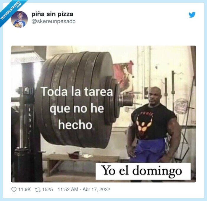 semana santa,tareas,domingo