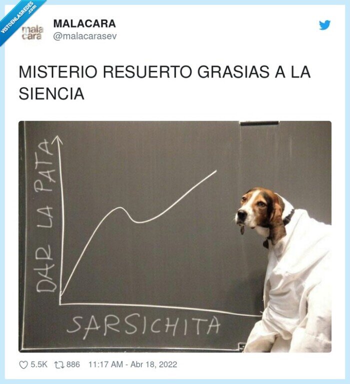 misterio,resuelto,gráfico,salchichas