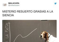 Enlace a Más alegría hombre, que lo has resuelto, por @malacarasev