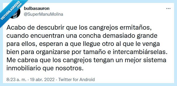 concha,sistema inmbiliario,casa