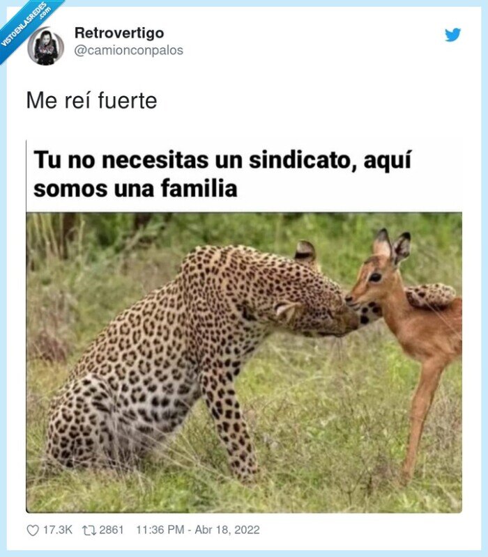 guepardo,gacela,amenaza,jefe,sindicato