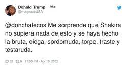 Enlace a Tiene suerte de que esta vez el escándalo no vaya con ella y de que sus pechos sean pequeños y no los confundas con montañas, por @magnateUSA