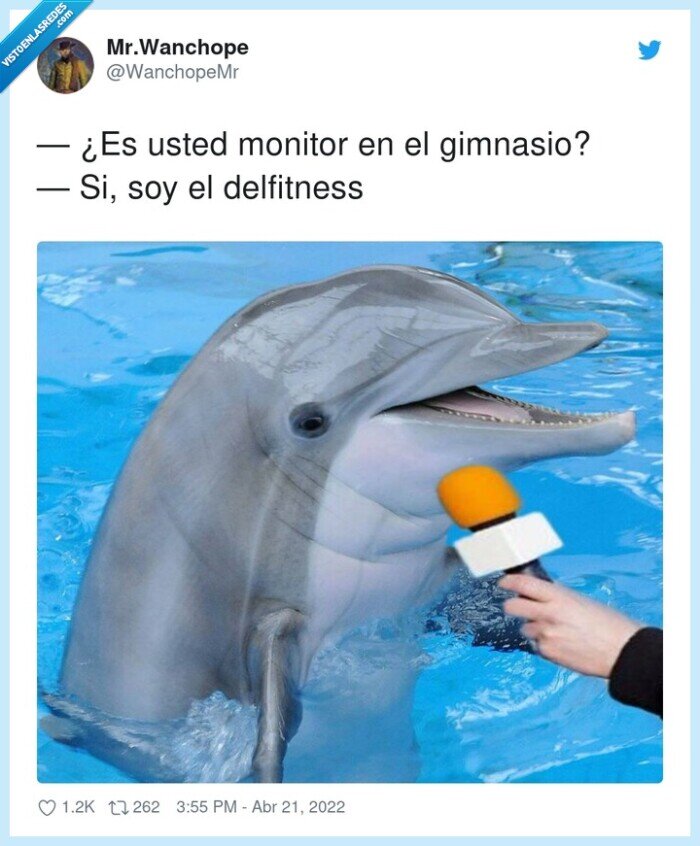 delfitness,gimnasio,monitor,delfín,fitness