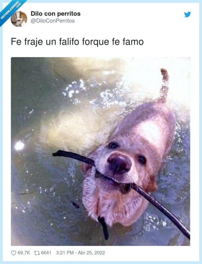 forque,falifo,fraje,famo,perro,farfa,palo