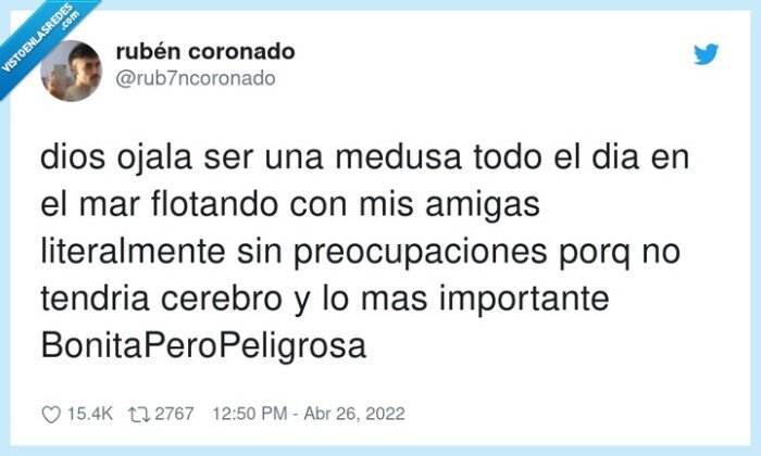 bonitaperopeligrosa,preocupaciones,medusa,importante,flotando,cerebro