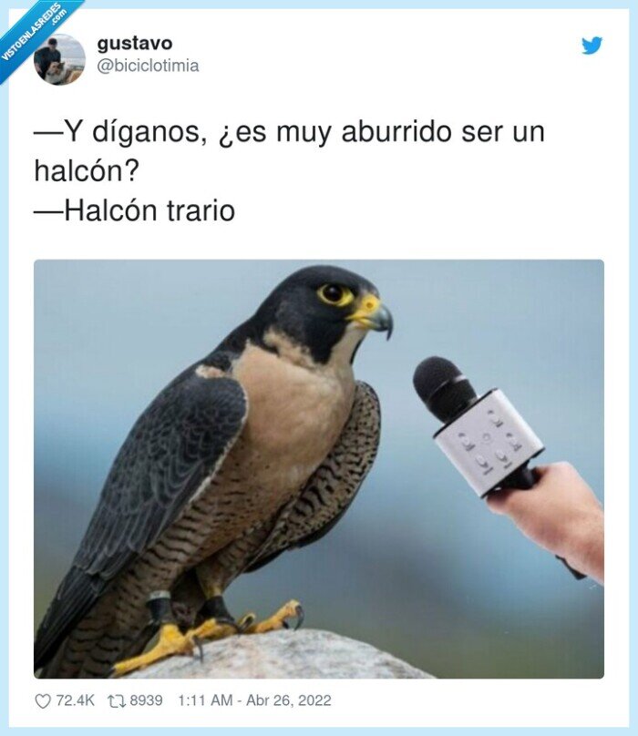 díganos,aburrido,halcón,trario,al contrario