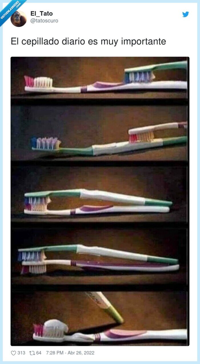 importante,cepillado,diario,cepillos,pasta de dientes