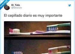 Enlace a Joder, los cepillos de dientes son como Toy story cuando se quedan solos, por @tatoscuro