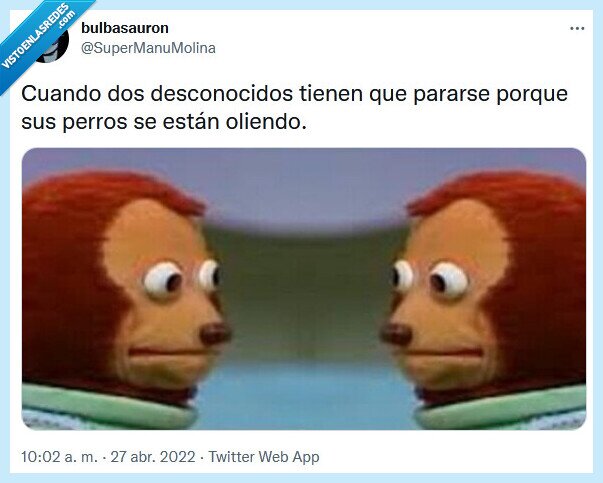 perros,desconocidos,olerse