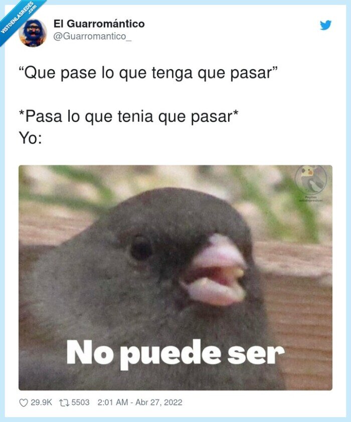 como,pasar,lo que tenga que pasar