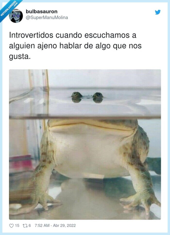 introvertidos,escuchar,alguien,rana,hablar,ajeno