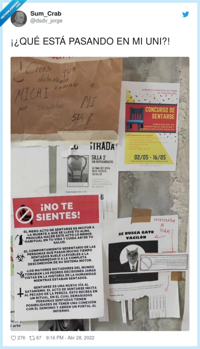 universidad,carteles,wtf,michis