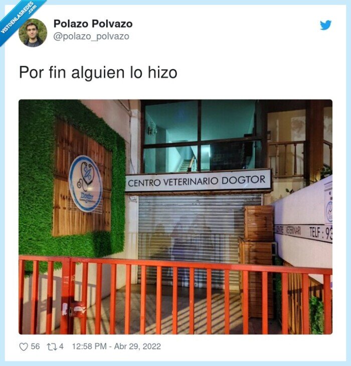 dogtor,perro,veterinario