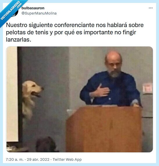 conferenciante,pelotas,tenis,fingir