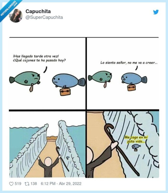 moisés,aguas,abrirse,pez,trabajo,tarde