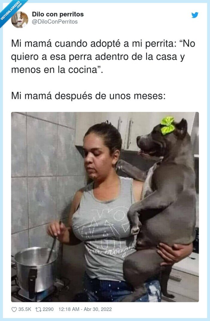 madres,padres,mascotas,adoptar