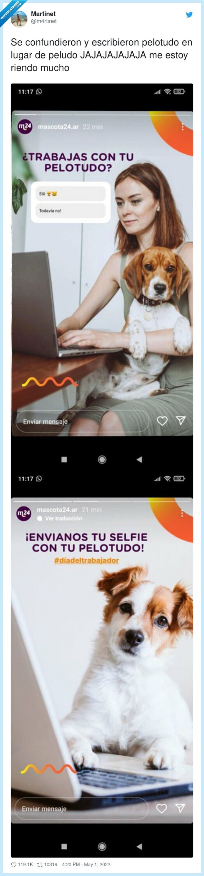 anuncio,publicidad,perro,pelotudo,peludo,riendo