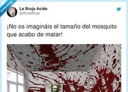 Enlace a Mal rollito, por @AcidaBruja