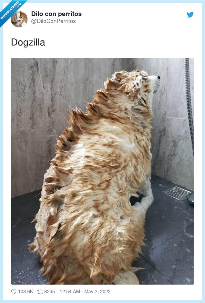 dogzilla,perro,godzilla