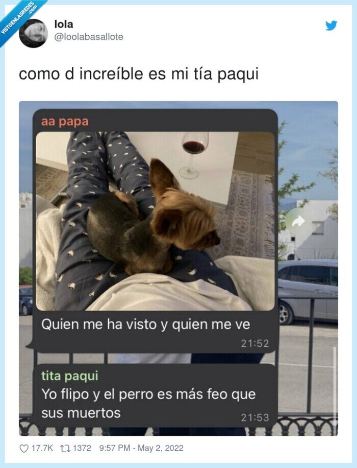 increíble,paqui,soltar,feo,perro,comentario