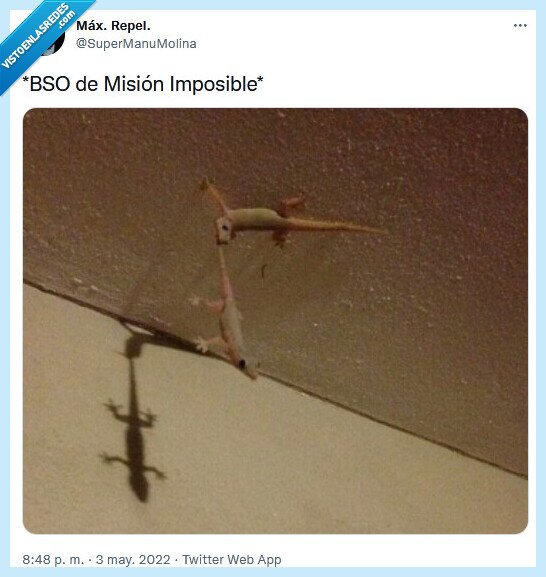 misión imposible,lagartijas,bso