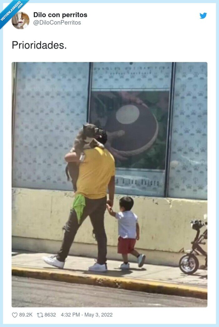 perro,niño,prioridades