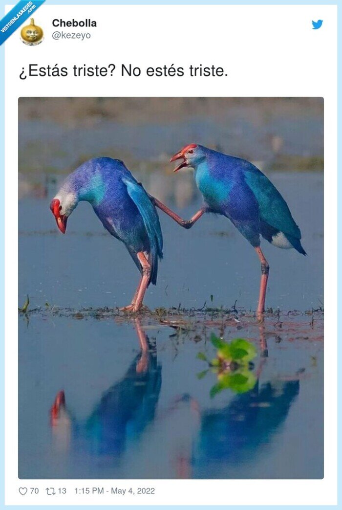 triste,estés,salud mental