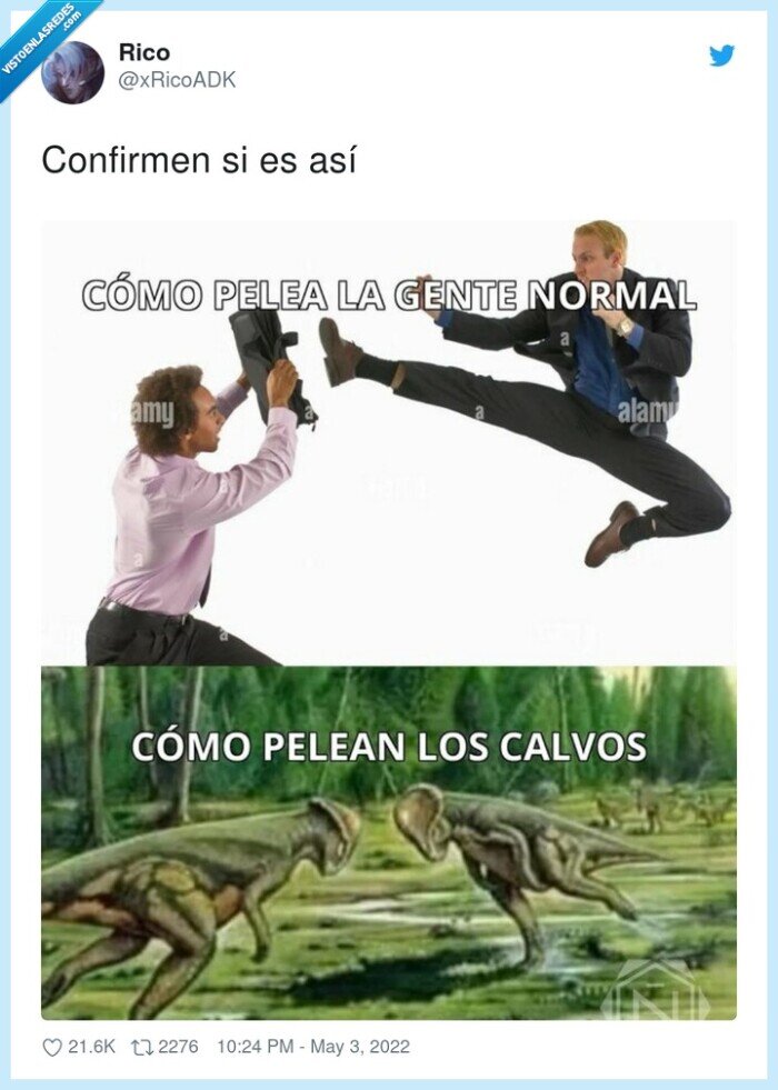 pelear,calvos