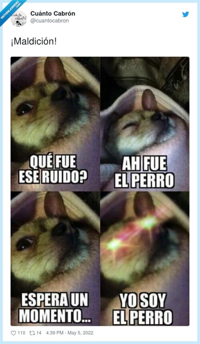 perro,proteger,maleantes