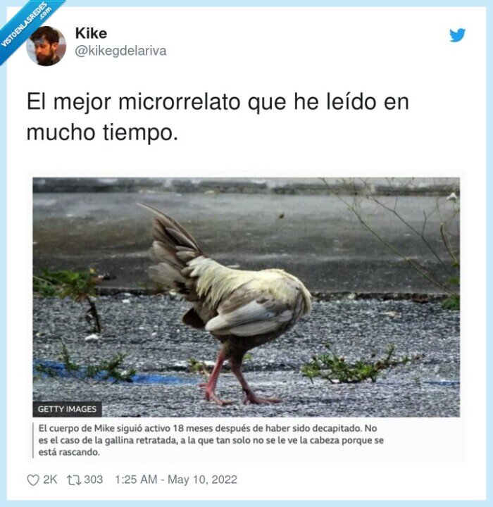 microrrelato,mike,gallina,cuerpo