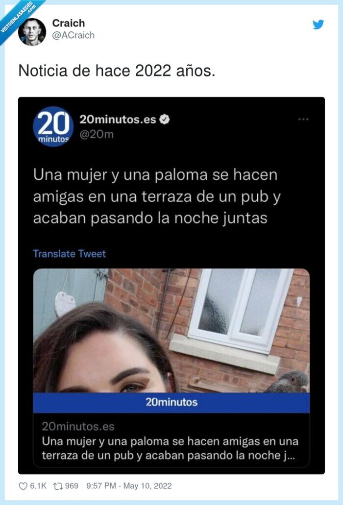 paloma,terraza,pub,mujer,amigas