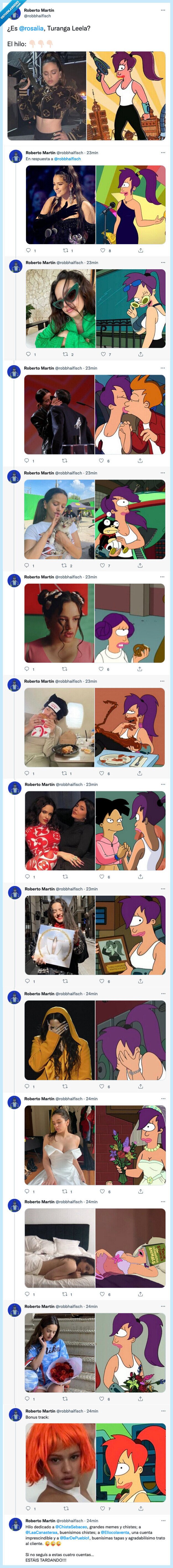 rosalia,futurama,leela,hilo