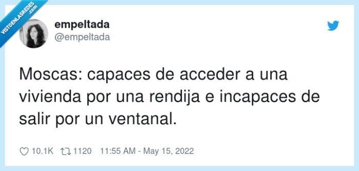 incapaces,vivienda,ventanal,capaces,acceder,rendija,moscas
