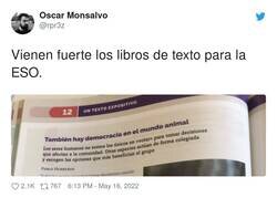 Enlace a Vaya panda de locos... ¡qué miedo! ¿Pero quién está dirigiendo el barco?, por @rpr3z