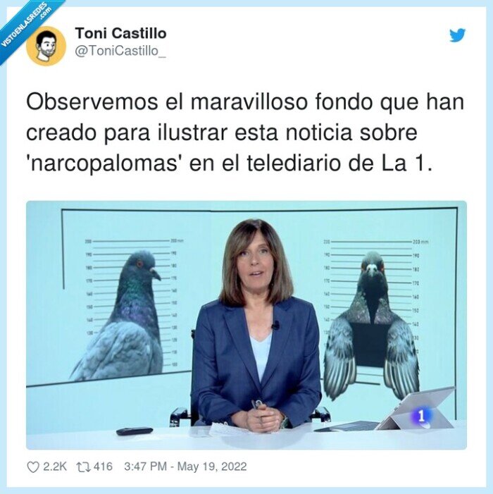 narcopalomas,maravilloso,telediario,ilustrar,noticia