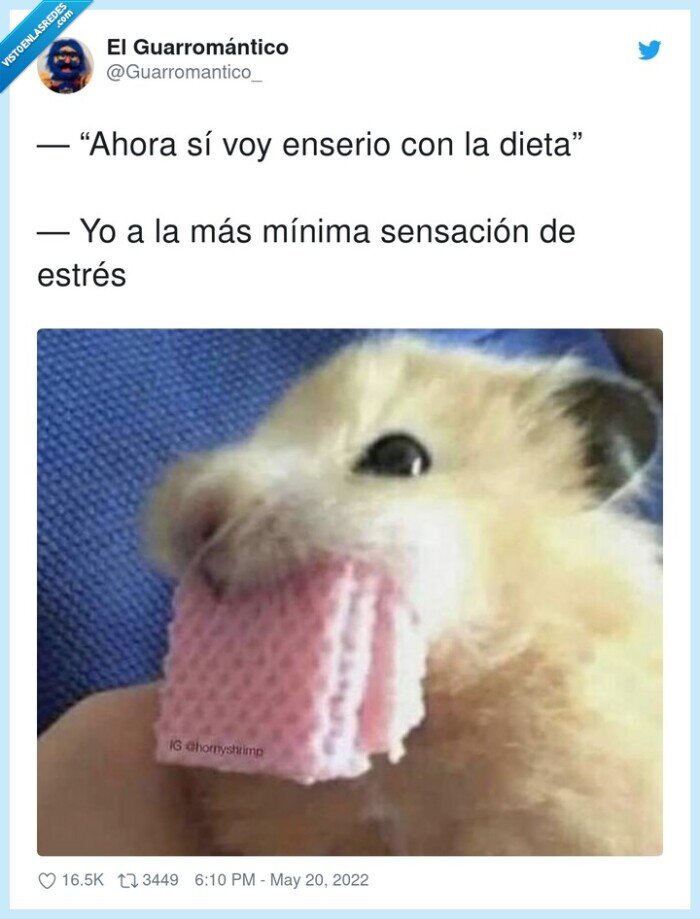 sensación,dieta,comida