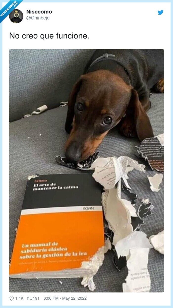 funcionar,libro,perro,gestión,ira,rabia