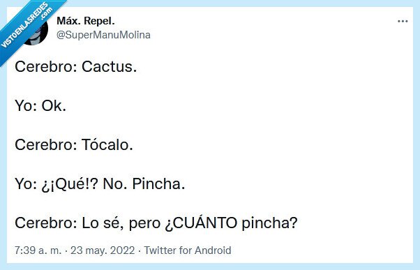 cactus,cerebro,pinchar