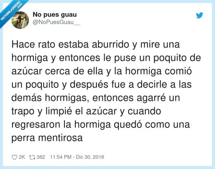 regresar,mentirosa,hormigas,aburrido