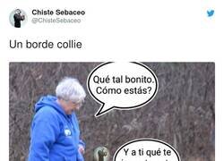 Enlace a Pues sí que es borde sí, por @ChisteSebaceo