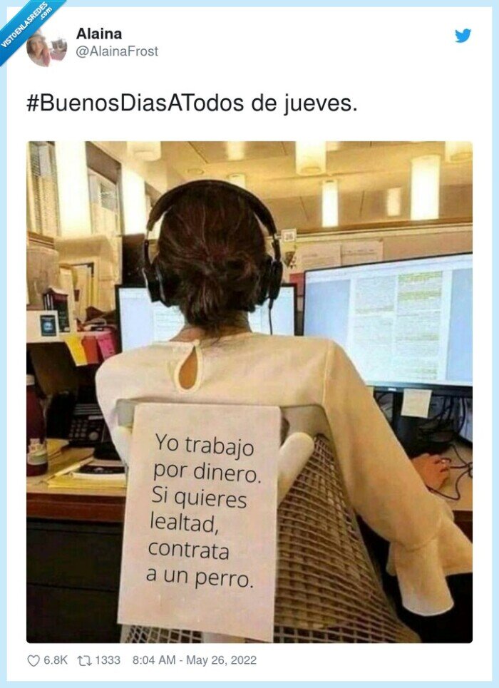 lealtad,perro,trabajar