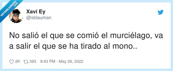 murciélago,comer,mono