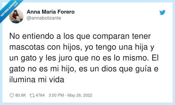 gato,comparar,mascotas,iluminar,hijos