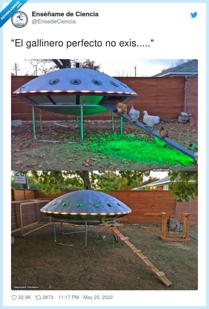 gallinero,perfecto,ovni,gallinas,ufo