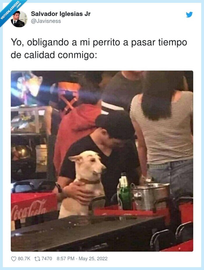 obligando,perrito,calidad,conmigo,tiempo