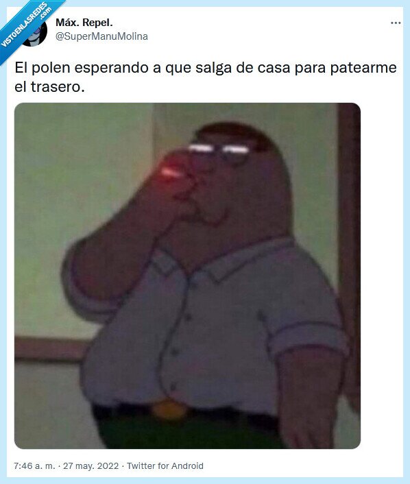 polen,alergia,paliza