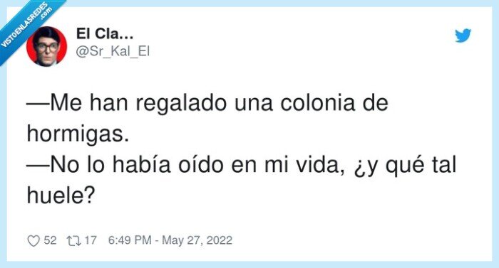 regalo,hormigas,colonia