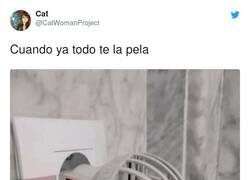 Enlace a Es el informático de los mosquitos, va a hackear el cacharro, por @CatWomanProject